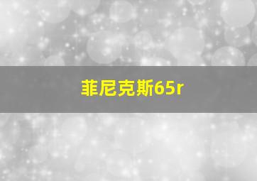 菲尼克斯65r