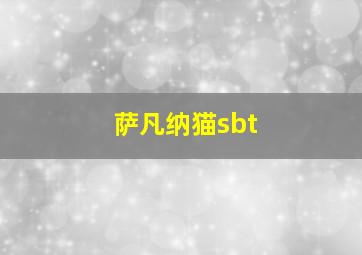 萨凡纳猫sbt