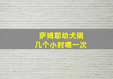 萨姆耶幼犬隔几个小时喂一次