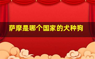 萨摩是哪个国家的犬种狗