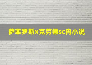 萨菲罗斯x克劳德sc肉小说