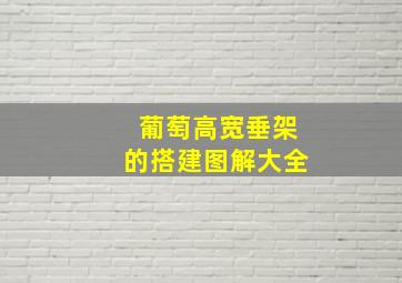 葡萄高宽垂架的搭建图解大全