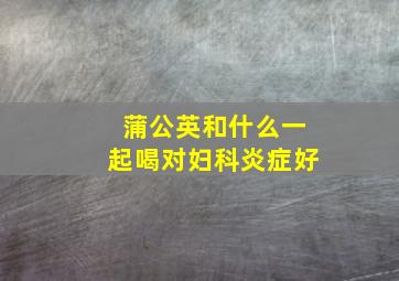 蒲公英和什么一起喝对妇科炎症好