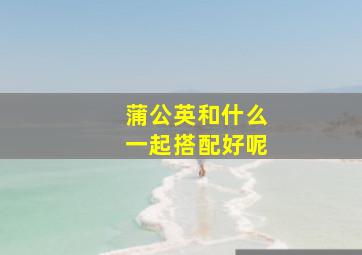 蒲公英和什么一起搭配好呢