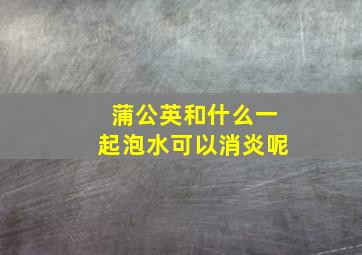 蒲公英和什么一起泡水可以消炎呢