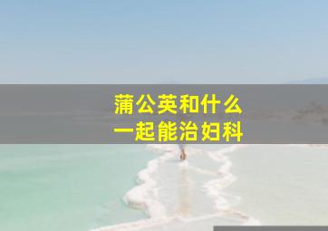 蒲公英和什么一起能治妇科