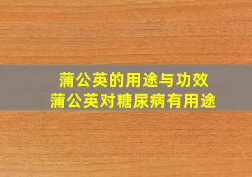 蒲公英的用途与功效蒲公英对糖尿病有用途