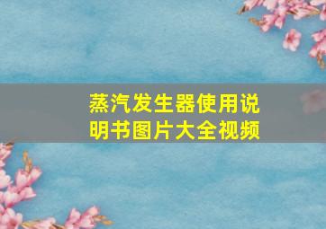 蒸汽发生器使用说明书图片大全视频