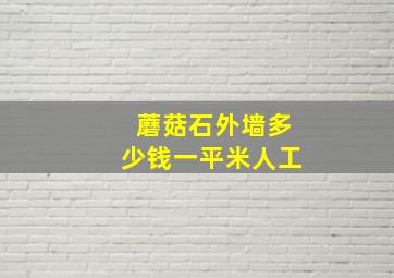 蘑菇石外墙多少钱一平米人工