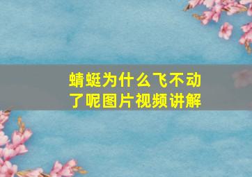 蜻蜓为什么飞不动了呢图片视频讲解