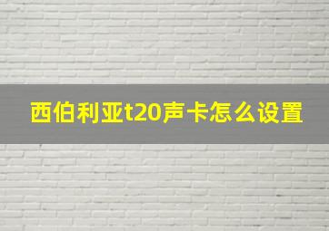 西伯利亚t20声卡怎么设置