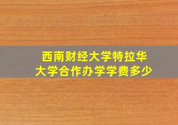 西南财经大学特拉华大学合作办学学费多少