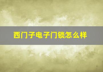 西门子电子门锁怎么样