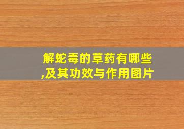 解蛇毒的草药有哪些,及其功效与作用图片