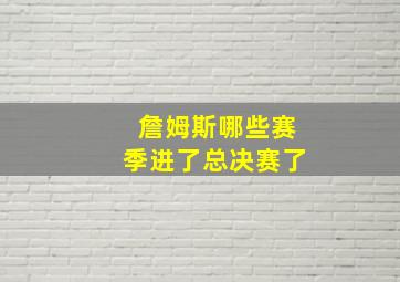 詹姆斯哪些赛季进了总决赛了