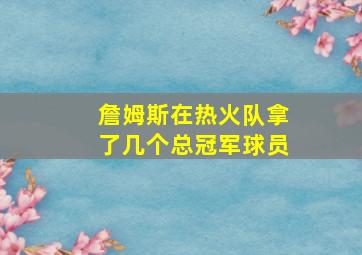 詹姆斯在热火队拿了几个总冠军球员