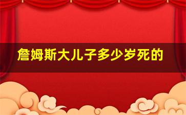 詹姆斯大儿子多少岁死的