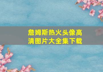 詹姆斯热火头像高清图片大全集下载