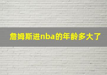 詹姆斯进nba的年龄多大了