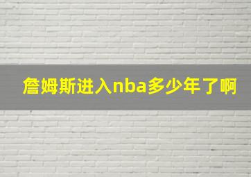 詹姆斯进入nba多少年了啊