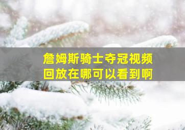 詹姆斯骑士夺冠视频回放在哪可以看到啊