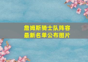 詹姆斯骑士队阵容最新名单公布图片