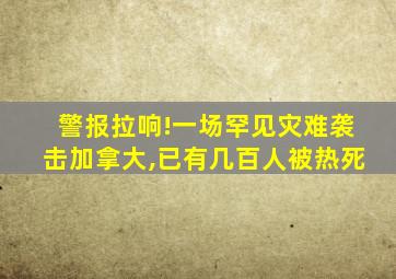 警报拉响!一场罕见灾难袭击加拿大,已有几百人被热死