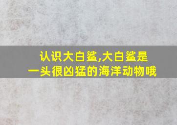 认识大白鲨,大白鲨是一头很凶猛的海洋动物哦