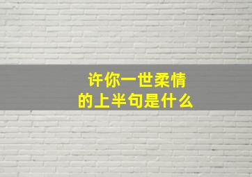 许你一世柔情的上半句是什么