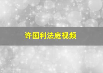 许国利法庭视频