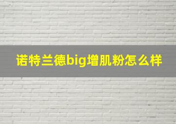 诺特兰德big增肌粉怎么样