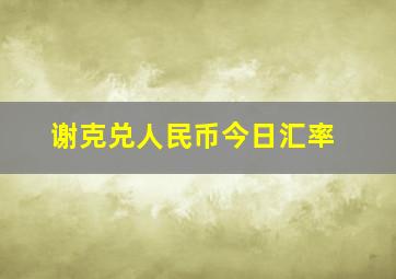 谢克兑人民币今日汇率