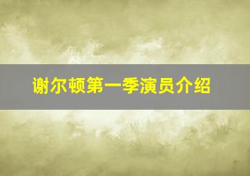 谢尔顿第一季演员介绍