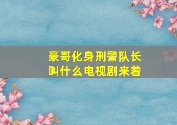 豪哥化身刑警队长叫什么电视剧来着