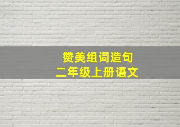 赞美组词造句二年级上册语文