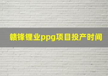 赣锋锂业ppg项目投产时间