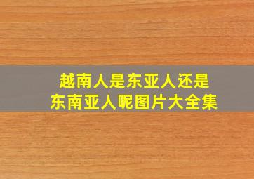 越南人是东亚人还是东南亚人呢图片大全集