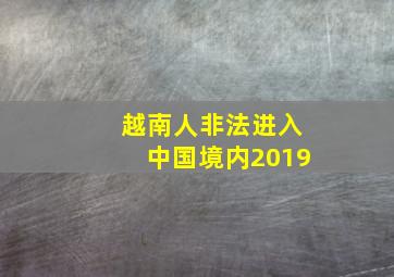 越南人非法进入中国境内2019