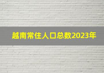 越南常住人口总数2023年