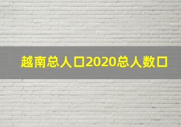 越南总人口2020总人数口