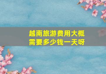 越南旅游费用大概需要多少钱一天呀