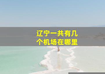 辽宁一共有几个机场在哪里