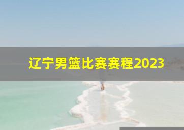 辽宁男篮比赛赛程2023