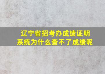 辽宁省招考办成绩证明系统为什么查不了成绩呢