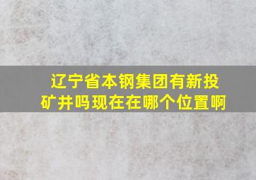 辽宁省本钢集团有新投矿井吗现在在哪个位置啊