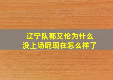 辽宁队郭艾伦为什么没上场呢现在怎么样了