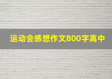 运动会感想作文800字高中