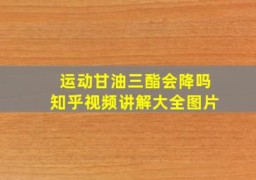 运动甘油三酯会降吗知乎视频讲解大全图片