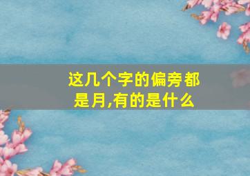 这几个字的偏旁都是月,有的是什么