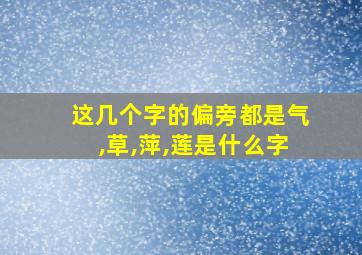 这几个字的偏旁都是气,草,萍,莲是什么字